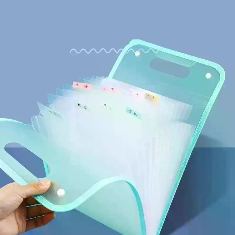 Expandable Accordion File Folder 13 Pockets - Carpeta de Archivos Expandible de 13