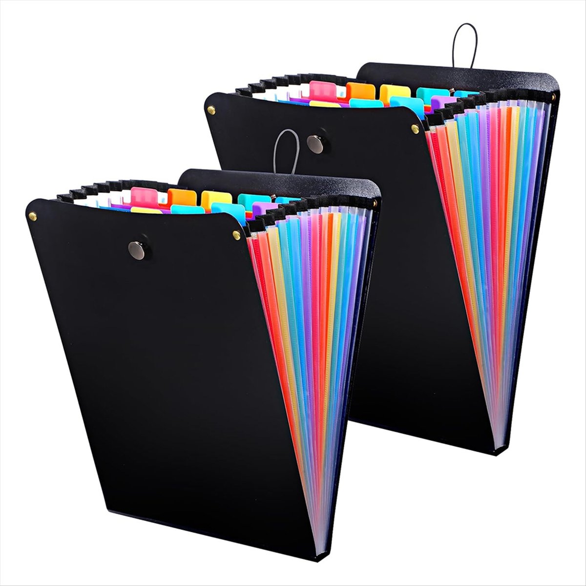 ABPP - Paquete de 2 Carpetas d - Expandable Accordion File Folder 13 Pockets reseña y precio